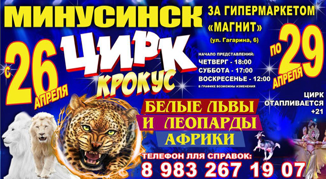 афиша цирка. билет в цирк. режим работы цирка. цирк шапито афиша. цирк шапито йошкар ола.